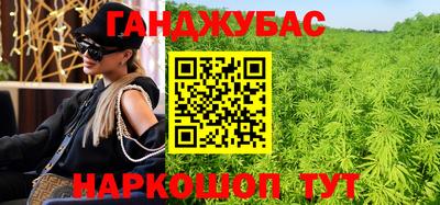 гидра Нальчик