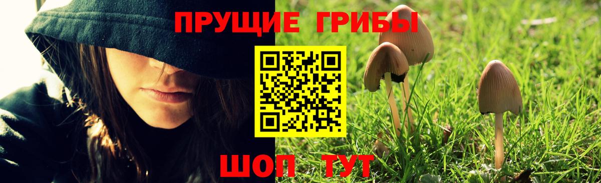 Рассказово  Псилоцибиновые грибы Cubensis  Вход с VPN 